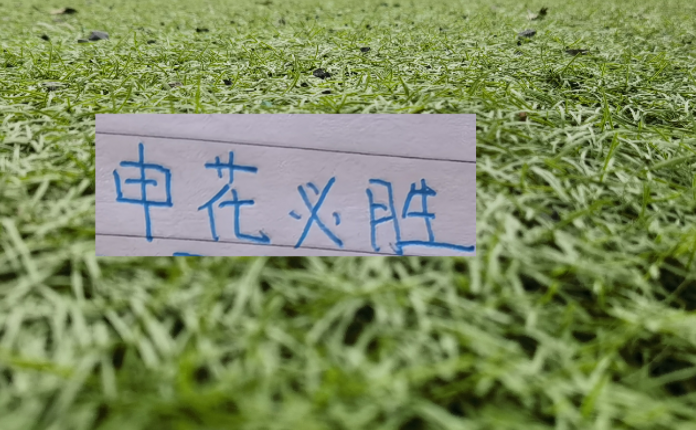 世界杯官方入口-第8轮中超未扣分纯净版！可能才是申花球迷最想要积分榜